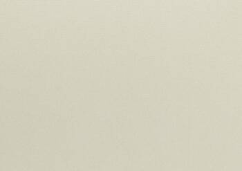 3985 Sand Ingres arkusz Passe-partout jakości konserwatorskiej Slater Harrison Colourmount