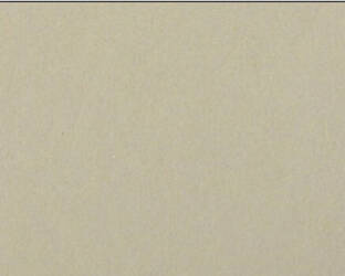 Colourmount CM11 White Gold (białe złoto) -Partout (paspartu) karton dekoracyjny Slater Harrison