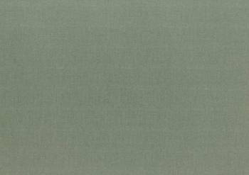 3931 Chive Passe-Partout (paspartu) karton dekoracyjny Slater Harrison