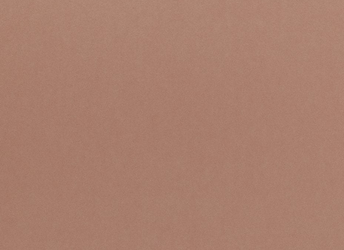 Colourmount 359 Hazelnut (Orzech laskowy) Karton konserwatorski Passe-Partout