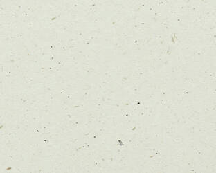 Karton dekoracyjny Colourmount 730 English Rose (Angielska róża)