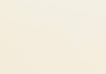 307 Champagne  arkusz Passe-partout jakości konserwatorskiej Slater Harrison Colourmount