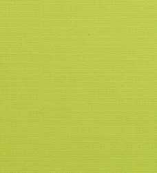 Colourmount 3992 Lime (limonka) Passe-Partout (paspartu) karton dekoracyjny Slater Harrison